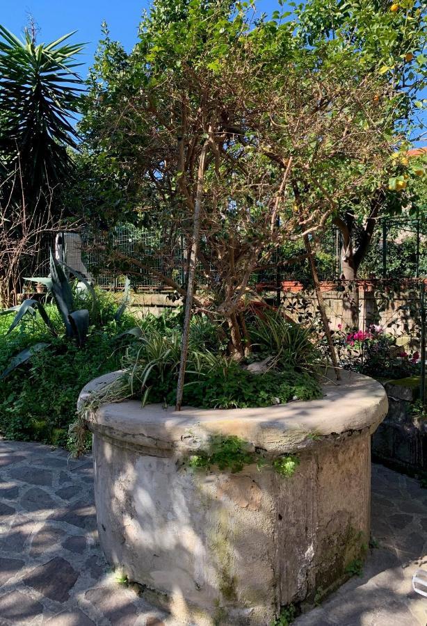 Itaca B&B Piano di Sorrento Luaran gambar