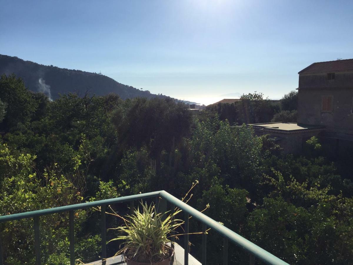 Itaca B&B Piano di Sorrento Luaran gambar