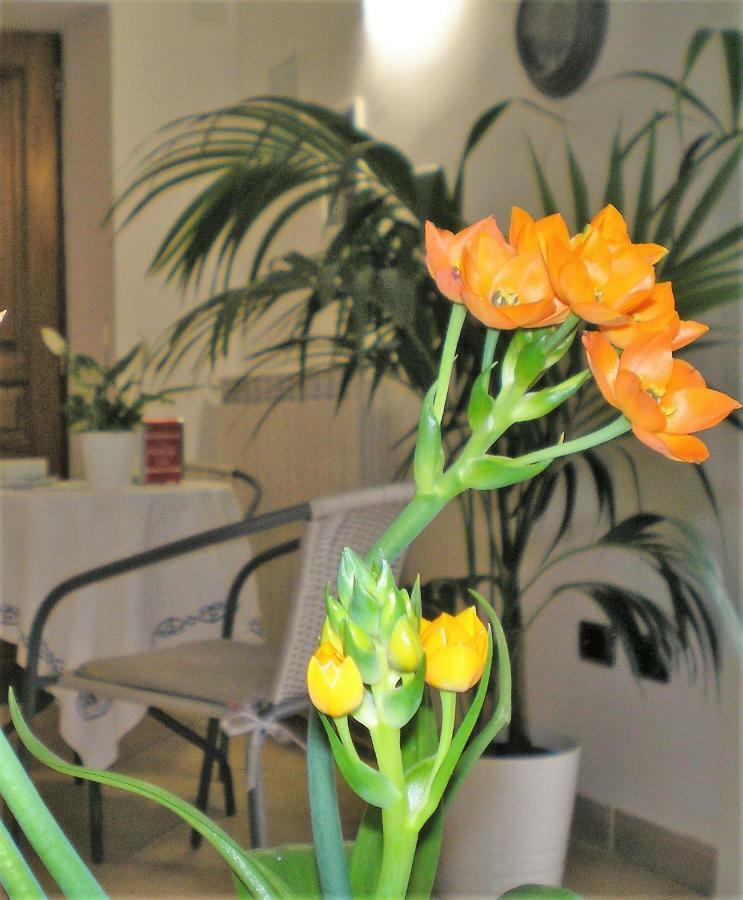 Itaca B&B Piano di Sorrento Luaran gambar