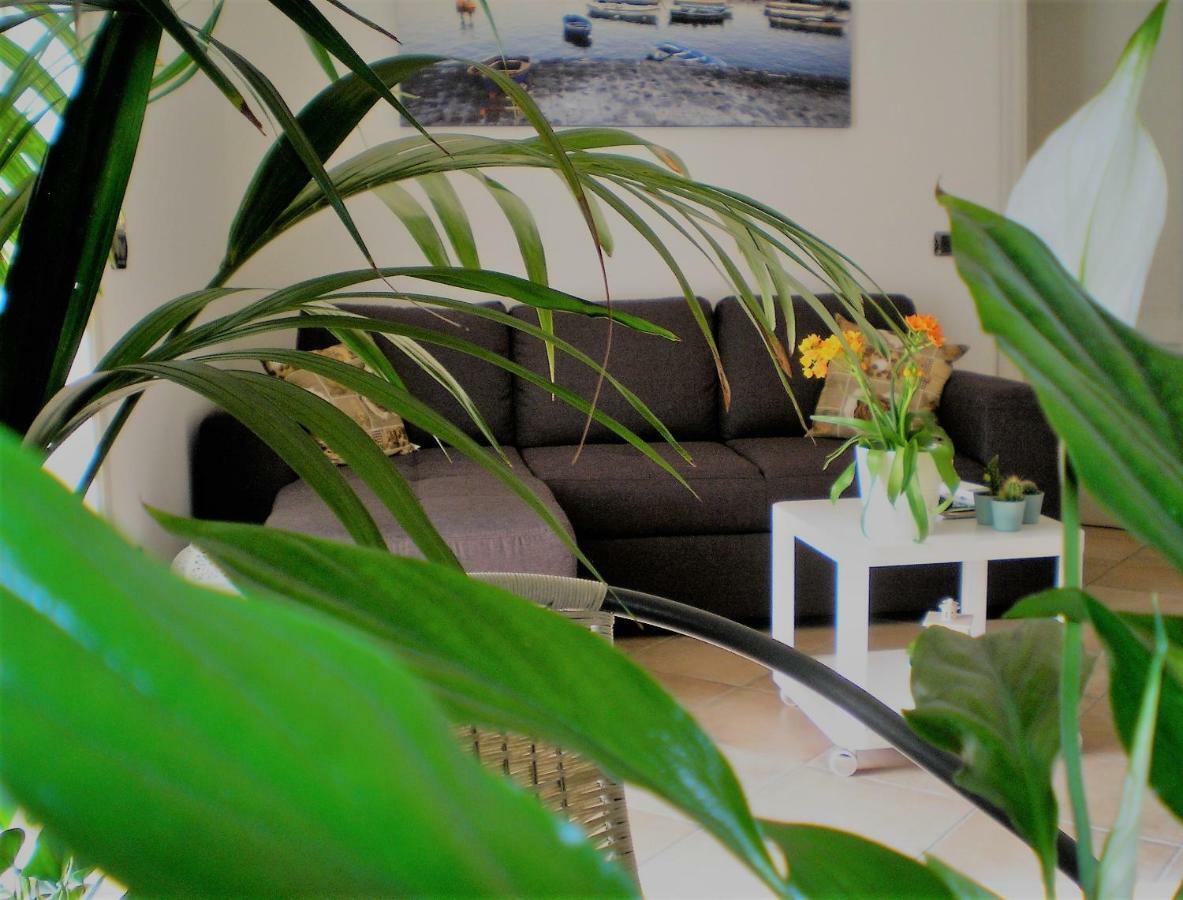 Itaca B&B Piano di Sorrento Luaran gambar