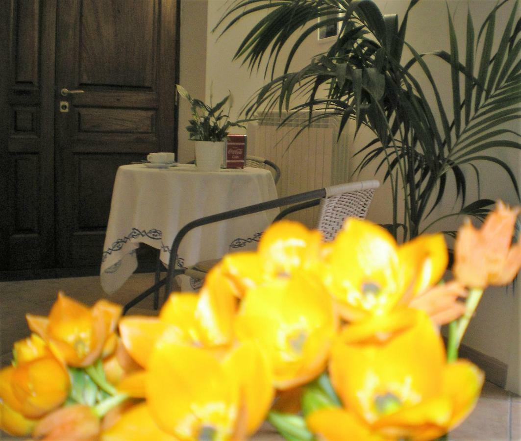 Itaca B&B Piano di Sorrento Luaran gambar