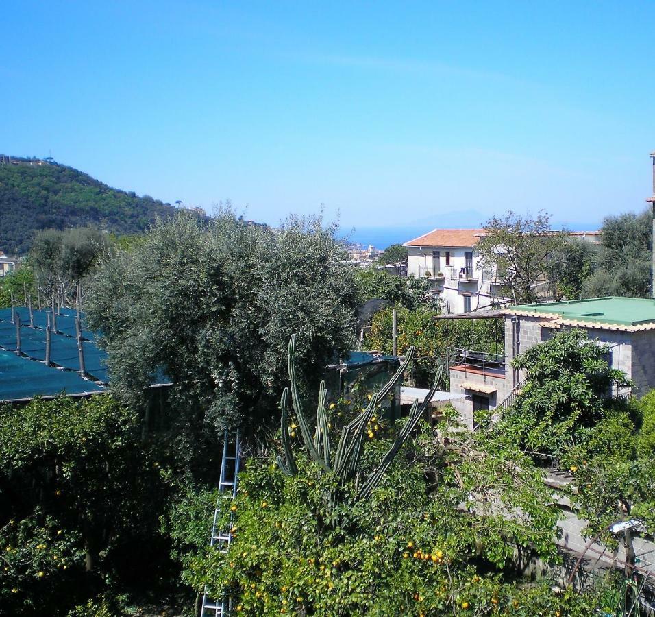 Itaca B&B Piano di Sorrento Luaran gambar